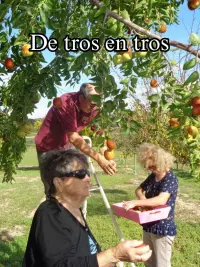 Poster to the movie "De tros en tros" #806881