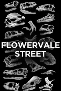 Poster to the movie "Flowervale Street" #1078766