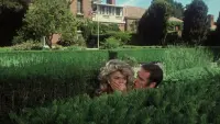 Backdrop to the movie "Heaven Can Wait" #785740