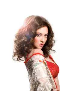 Poster to the movie "Lovelace" #731506