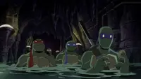 Backdrop to the movie "Batman vs Teenage Mutant Ninja Turtles" #782270