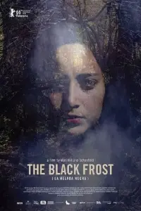 Poster to the movie "The Black Frost" #1114214