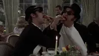 Backdrop to the movie "The Blues Brothers" #778490