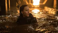 Backdrop to the movie "The Hunger Games: Mockingjay - Part 2" #776118