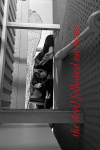 Poster to the movie "The Devil Followed Me Home" #413103