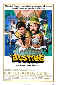 Poster to the movie "Busting" #969807