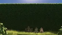 Backdrop to the movie "Over the Hedge" #713052