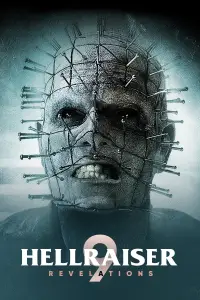 Poster to the movie "Hellraiser: Revelations" #971719
