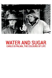 Poster to the movie "Water and Sugar – Carlo Di Palma: The Colours of Life" #1124168