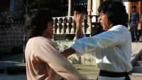 Backdrop to the movie "Dragon Fist" #695711