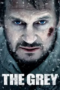 Poster to the movie "The Grey" #954294