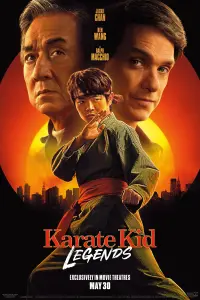 Poster to the movie "Untitled Karate Kid Movie" #851412