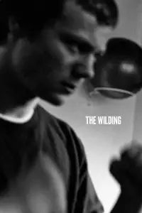 Poster to the movie "The Wilding" #1087739