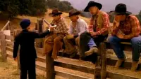 Backdrop to the movie "The Cowboy and the Frenchman" #826695
