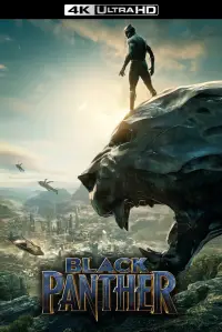 Poster to the movie "Black Panther" #929390