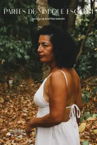 Poster to the movie "Partes de Mim que Esqueci" #1146934