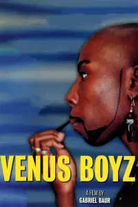 Poster to the movie "Venus Boyz" #1049700