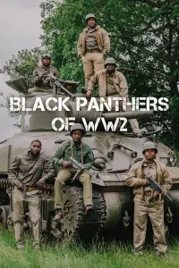 Poster to the movie "Black Panthers of WWII" #1024546