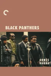 Poster to the movie "Black Panthers" #826747
