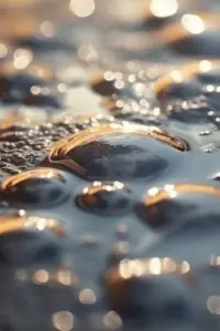 Poster to the movie "Bubbles" #790911