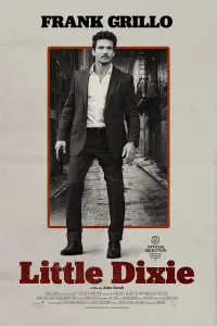 Poster to the movie "Little Dixie" #992087