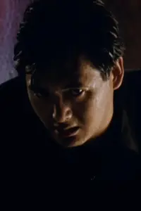 Poster to the movie "The Killer" #809116