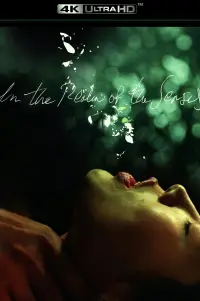 Poster to the movie "In the Realm of the Senses" #645208