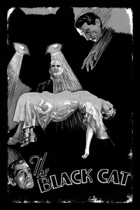 Poster to the movie "The Black Cat" #979717