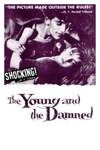 Poster to the movie "The Young and the Damned" #1164220