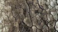 Backdrop to the movie "What Does the Mud Whisper" #761037