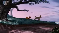 Backdrop to the movie "Lady and the Tramp" #854517