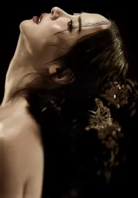 Poster to the movie "The Concubine" #691474