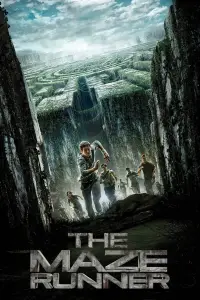 Poster to the movie "The Maze Runner" #906904