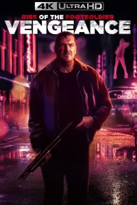 Poster to the movie "Rise of the Footsoldier: Vengeance" #956522