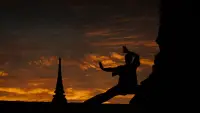 Backdrop to the movie "Kickboxer" #691948