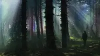 Backdrop to the movie "Annihilation" #711578