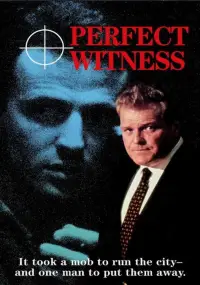 Poster to the movie "Perfect Witness" #1160459