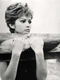 Poster to the movie "Bebo