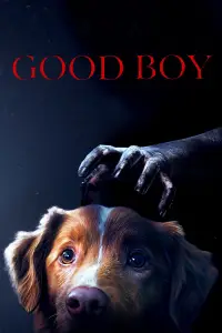 Poster to the movie "Good Boy" #517272