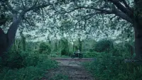 Backdrop to the movie "Someday the night will come" #797482