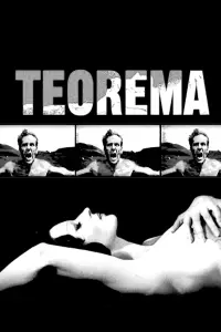 Poster to the movie "Theorem" #1143084