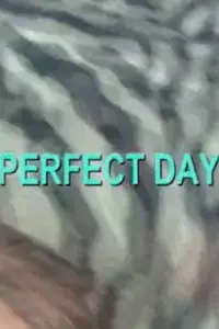 Poster to the movie "Perfect Day" #1101502