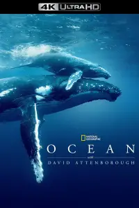 Poster to the movie "Ocean with David Attenborough" #990200