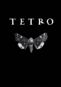 Poster to the movie "Tetro" #724141