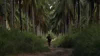 Backdrop to the movie "The Thin Red Line" #214996