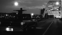 Backdrop to the movie "The Perks of Being a Wallflower" #753544