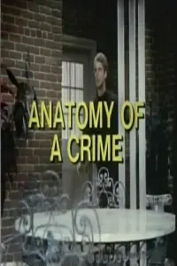 Poster to the movie "Anatomy of a Crime" #841283