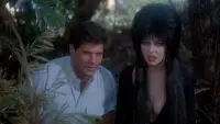 Backdrop to the movie "Elvira, Mistress of the Dark" #889680