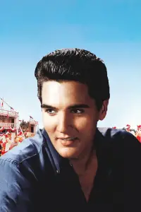 Poster to the movie "Frankie and Johnny" #1172395