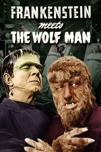 Poster to the movie "Frankenstein Meets the Wolf Man" #974969